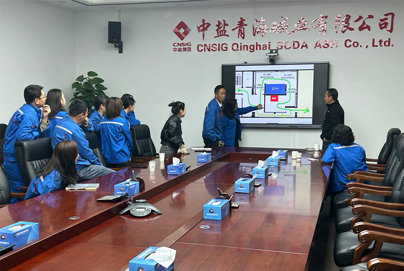 2025年5月13日我公司设计总监与中盐青海碱业有限公司专家领导就企业展厅设计方案计